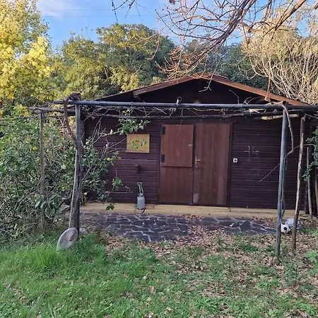 Casa Indipendente Con Giardino Vada